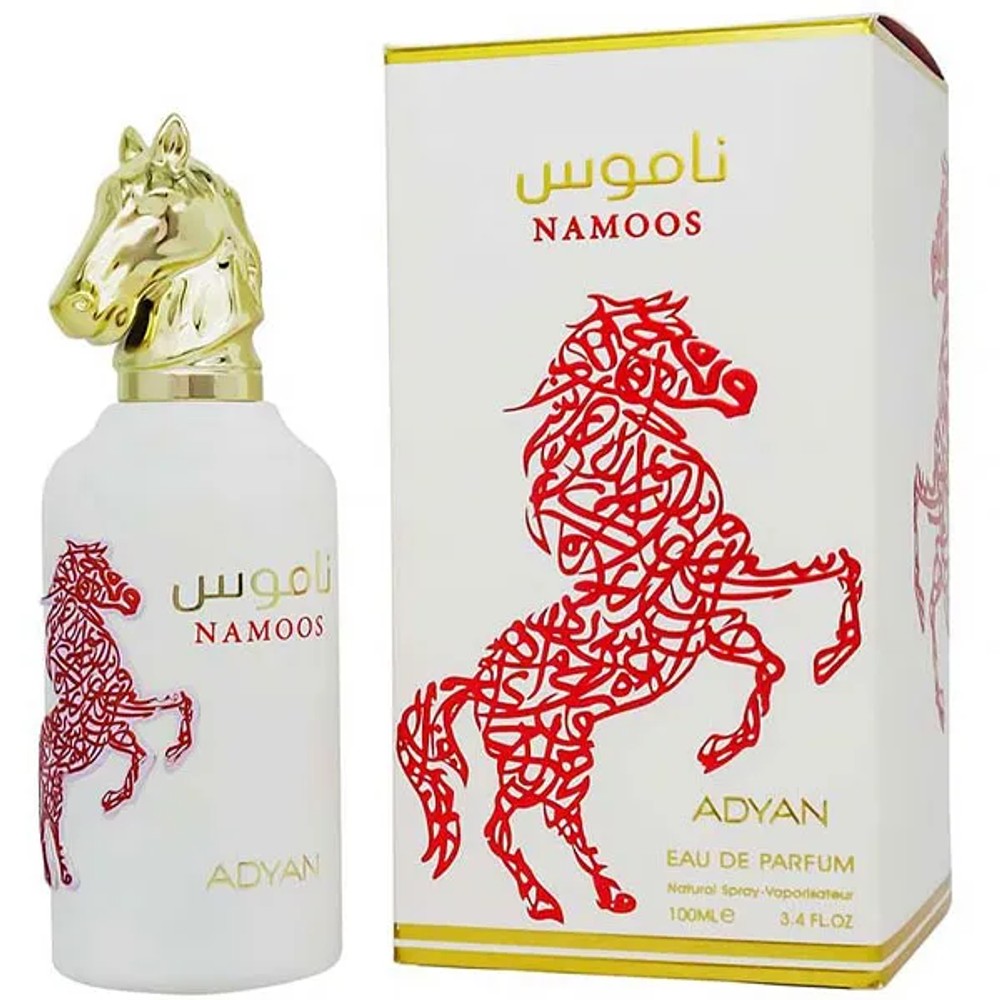 Perfume Masculino ADYAN Namoos EDP 100 ml