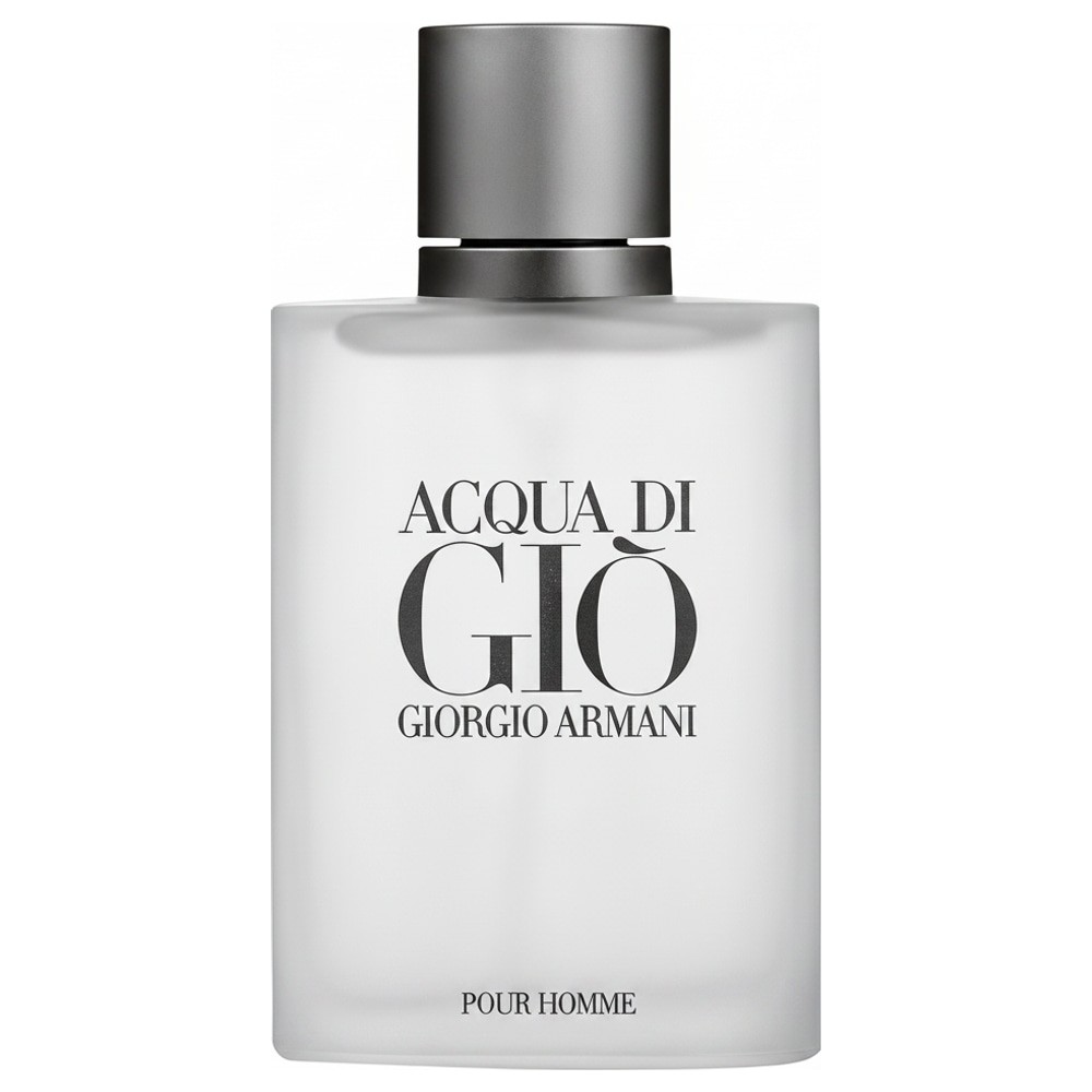 Perfume Giorgio Armani Acqua Di Giò Eau de Toilette Masculino 100 ml